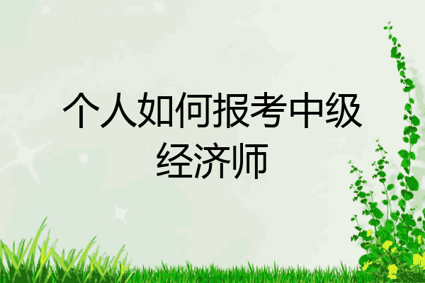 个人如何报考中级经济师