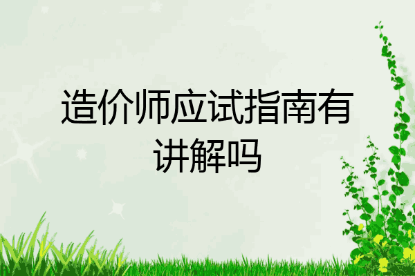 造价师应试指南有讲解吗