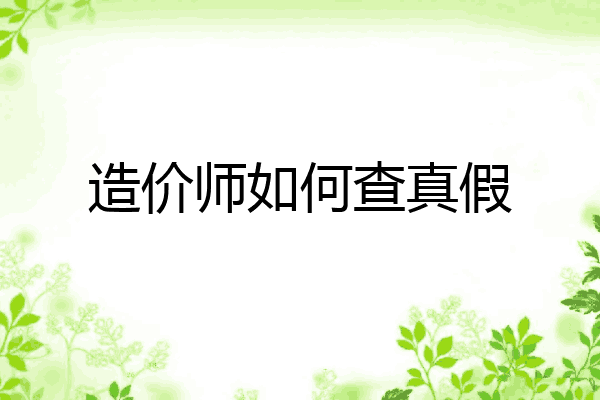造价师如何查真假