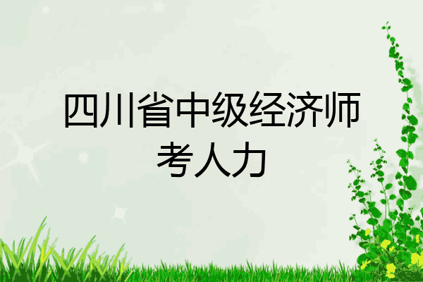 四川省中级经济师考人力