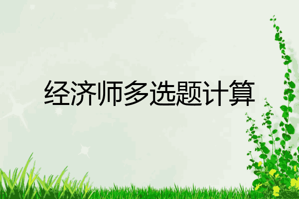 经济师多选题计算