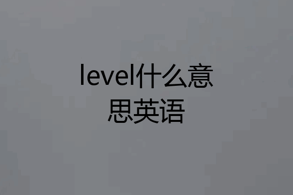 level什么意思英语