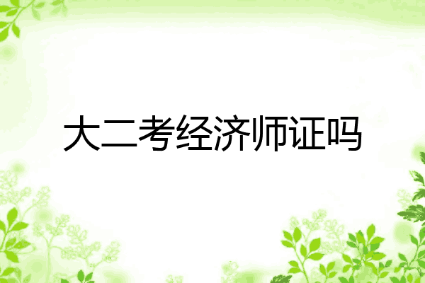 大二考经济师证吗