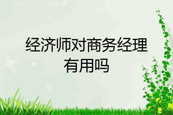 经济师对商务经理有用吗