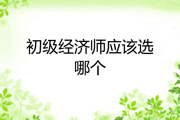 初级经济师应该选哪个