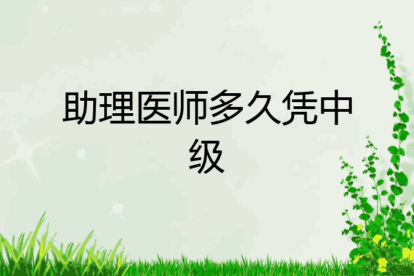 助理医师多久凭中级