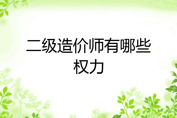 二级造价师有哪些权力