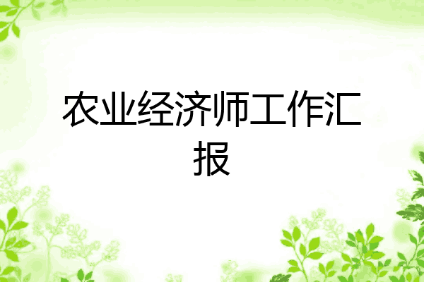 农业经济师工作汇报