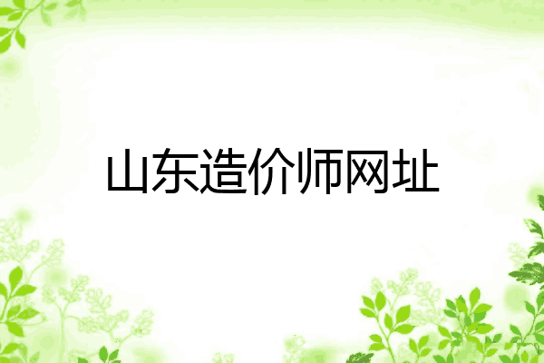 山东造价师网址