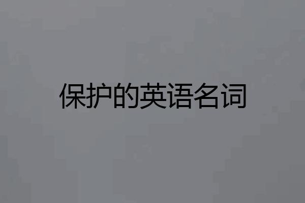 保护的英语名词