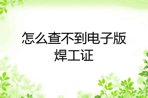 怎么查不到电子版焊工证