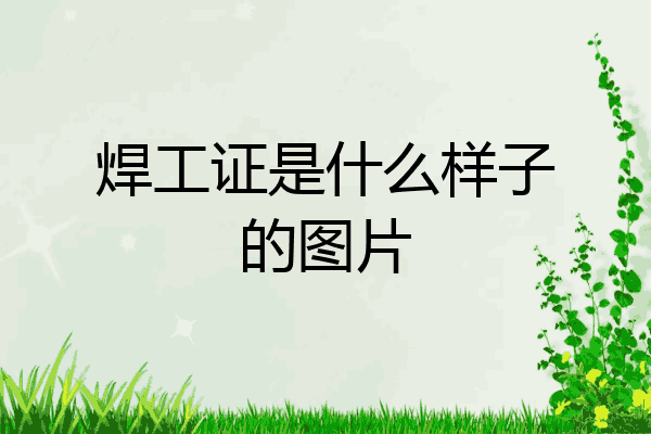焊工证是什么样子的图片