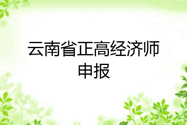 云南省正高经济师申报