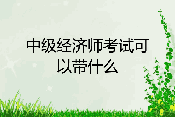 中级经济师考试可以带什么