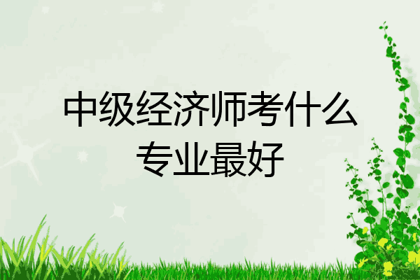 中级经济师考什么专业最好