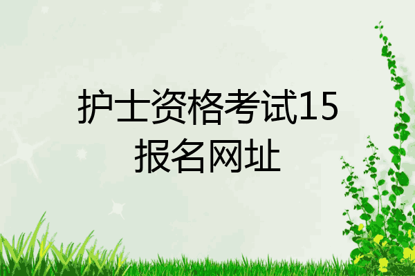 护士资格考试15报名网址