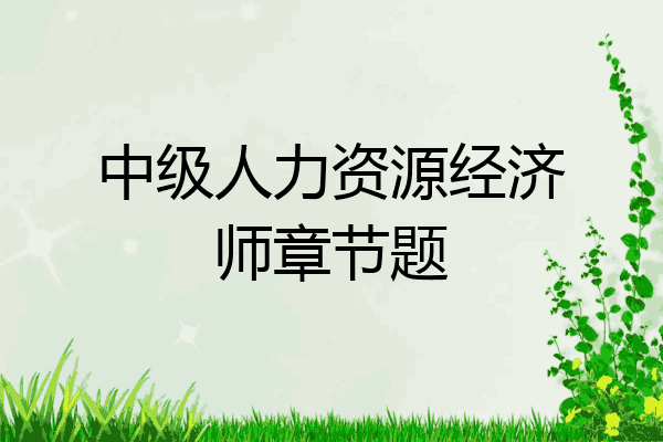 中级人力资源经济师章节题