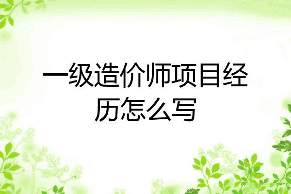 一级造价师项目经历怎么写