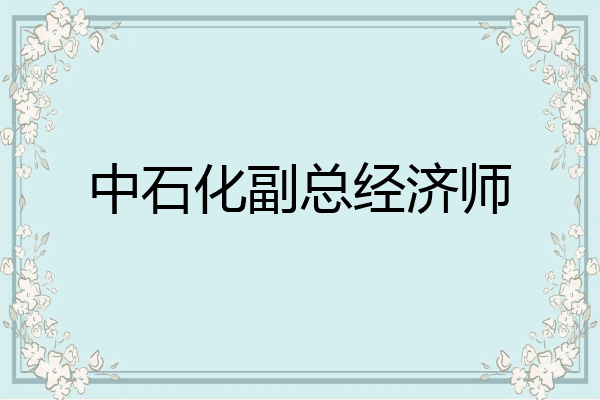 中石化副总经济师
