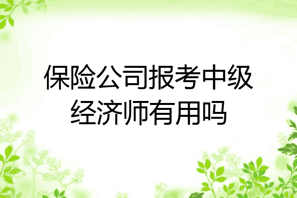 保险公司报考中级经济师有用吗