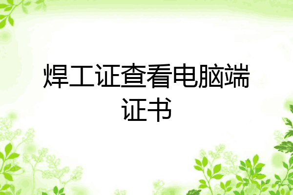 焊工证查看电脑端证书