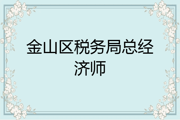 金山区税务局总经济师