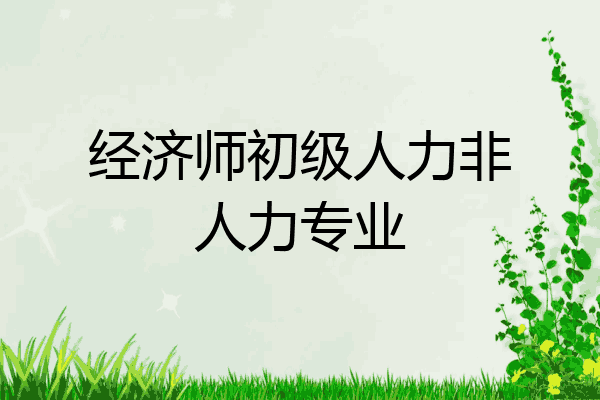 经济师初级人力非人力专业