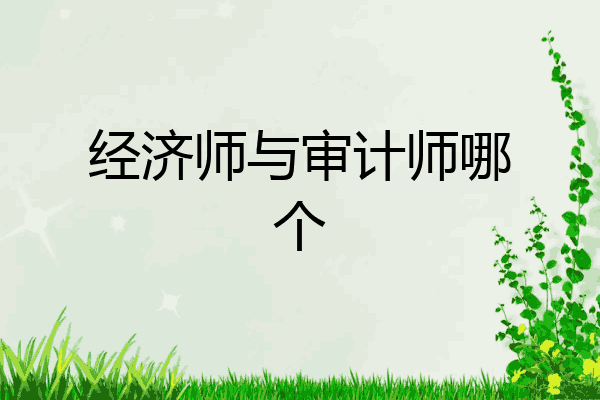 经济师与审计师哪个