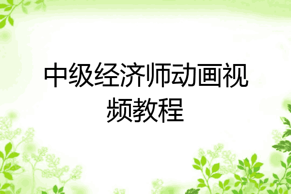中级经济师动画视频教程