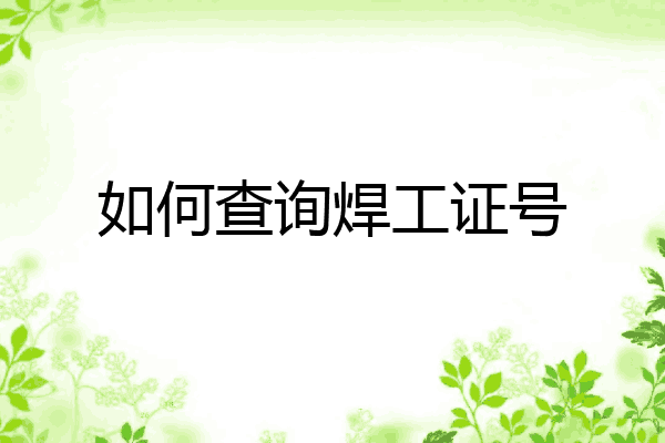如何查询焊工证号