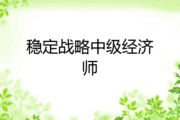 稳定战略中级经济师