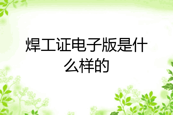 焊工证电子版是什么样的