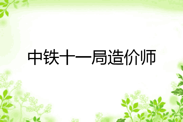 中铁十一局造价师