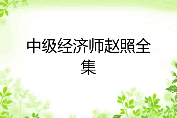 中级经济师赵照全集