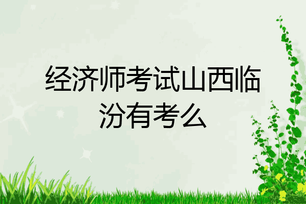 经济师考试山西临汾有考么