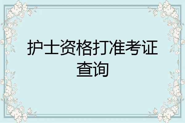 护士资格打准考证查询