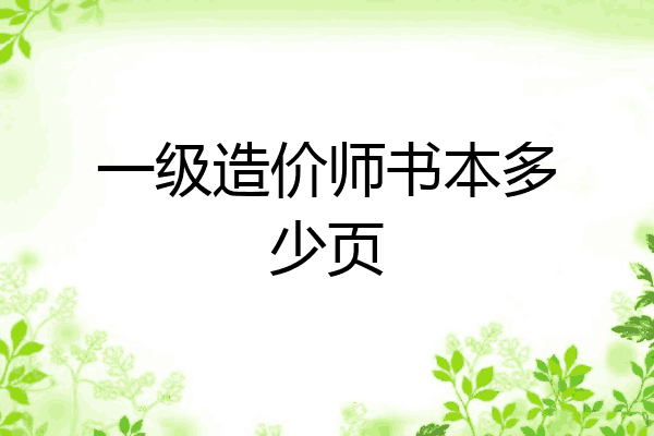 一级造价师书本多少页