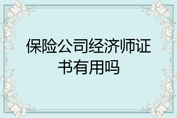 保险公司经济师证书有用吗