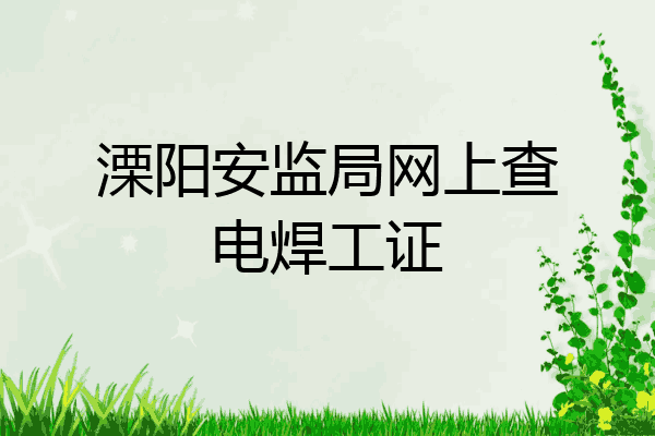 溧阳安监局网上查电焊工证