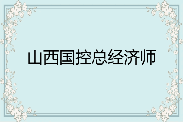 山西国控总经济师