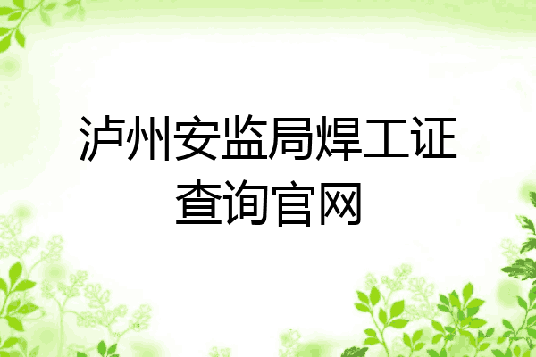 泸州安监局焊工证查询官网