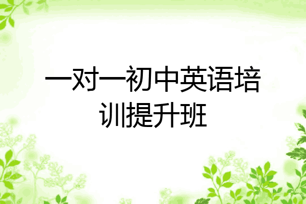一对一初中英语培训提升班