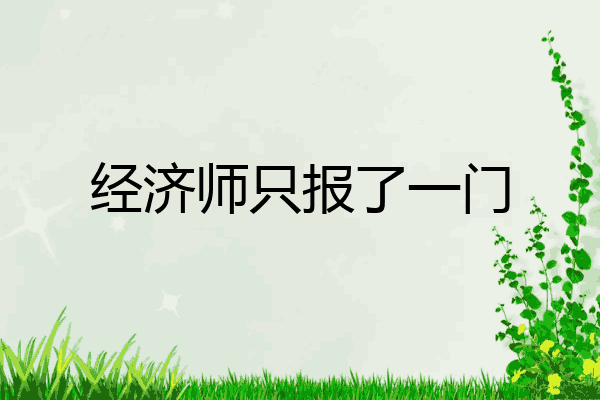 经济师只报了一门