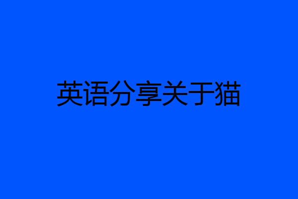 英语分享关于猫