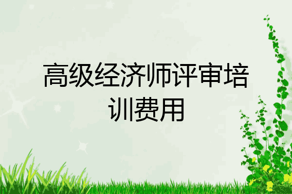 高级经济师评审培训费用