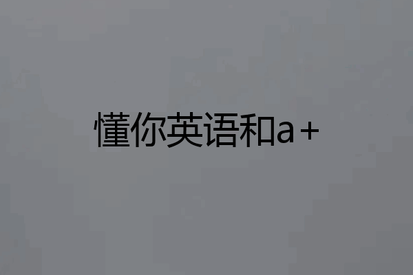 懂你英语和a+