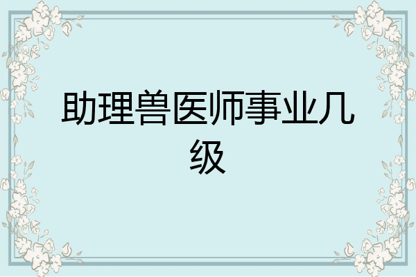 助理兽医师事业几级