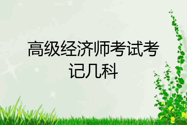 高级经济师考试考记几科