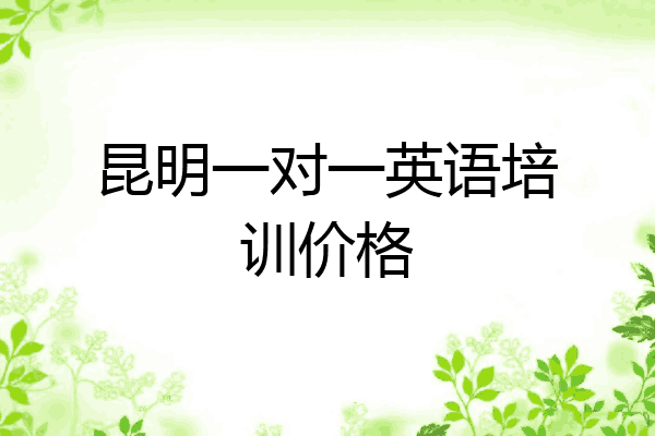 昆明一对一英语培训价格
