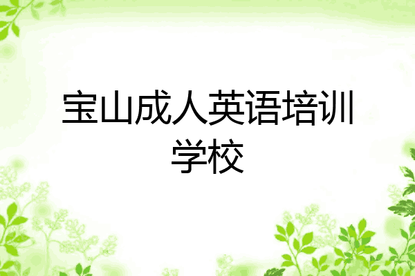 宝山成人英语培训学校
